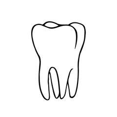 tooth molar three quarters drawing - hand drawn doodle