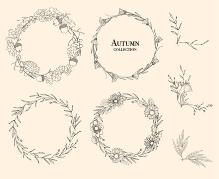 Line art autumn wreaths and floral corners, line art drawing, botanical vector illustration, floral border set