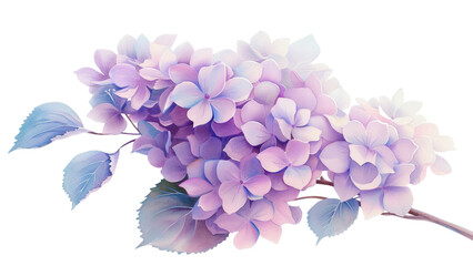 A purple flower with a blue stem. The flower is very large and has a lot of petals
