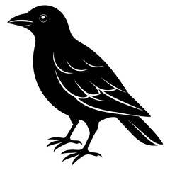 Bird black vector style silhouette illustration