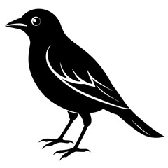 Bird black vector style silhouette illustration
