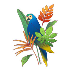 Tropical composition. Vector illustration of areca palm leaf, aralia palm leaf. Ara parrot bird.