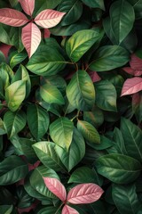 Closeup of vibrant green leaves with pink accents, nature background in minimal design