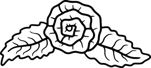 Line art hand drawn flower. Flower with leaves sketch thin line outline illustration 