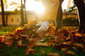 Woman hand raking the fallen yellow leaves.  Autumn cleaning of the territory. Seasonal work.