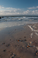 Bałtycka plaża