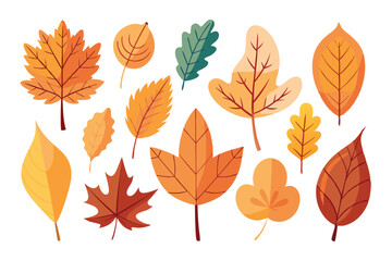 Fototapeta premium Minimalistic autumn leaves, assorted hues, arranged in a single set.