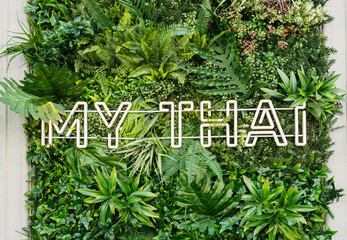 Neon words on green fresh foliage. Signboard of shop