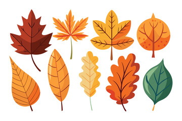Obraz premium Set of assorted autumn leaves, single minimal, vibrant hues.