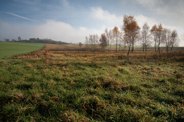 Jesień na pomorzu © Robert