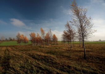 Obraz premium Jesień