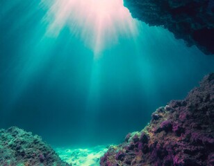 Obraz premium 海中