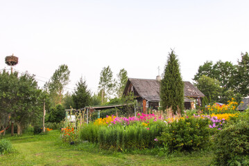 Village details in Latvia, East Europe. Wooden buildings.