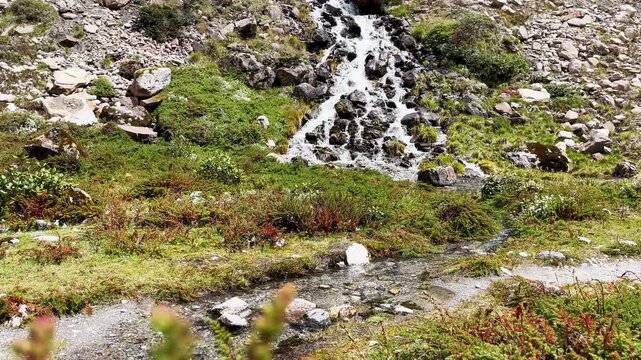 Mountain creek running down in Makalu Barun National Park near Kothe settlement. Mera peak climbing route, Himalayas, Nepal.
