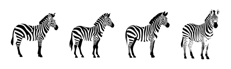 Black zebra silhouette cutout. Set of zebra animal silhouette on transparent background