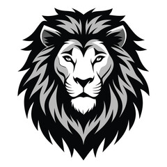 Obraz premium Adobe Illustrator Artwork