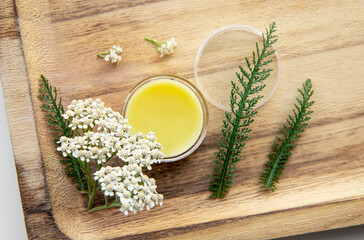 Balm made with Achillea millefolium, yarrow or common yarrow. Jar with medicinal balm on wood background. Fresh flower for decoration. Still life. © FotoHelin