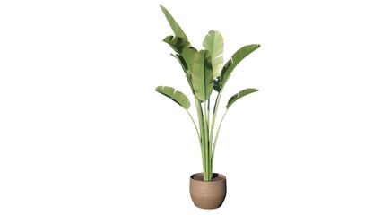 Illustration of flowers in a vase for table decoration in a room