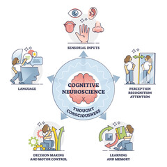 Cognitive neuroscience and thought consciousness processes, outline diagram, transparent background. Sensory input, language, decision making and motor control, learning and memory, self perception.