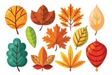 Obraz premium Adobe Illustrator Artwork