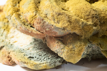 Bread with bacterium of mold . Macro photography