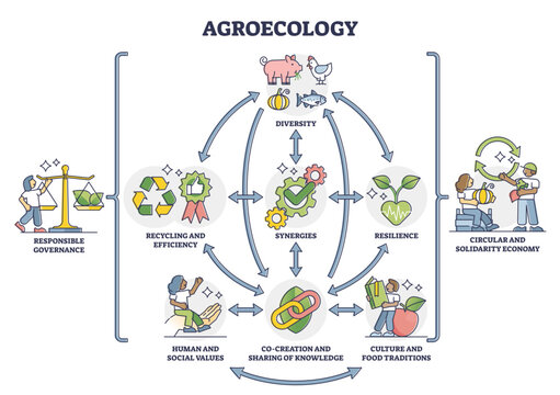 Agroecology as ecological agriculture and responsible farming outline diagram, transparent background. Nature friendly and bio diversity protective gardening with recycling.