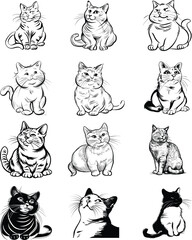 Fototapeta premium Artistic Cat Face in Black and White Style