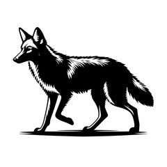 Coyote silhouette vector illustration