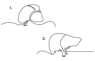 Continuous one line drawing of human lungs. One line of anatomical human lungs. Medical internal concept continuous line art, Liver human organ drawn by one line. Anatomical sketch.