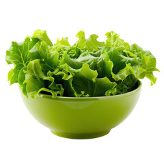 A bowl of fresh, green lettuce.