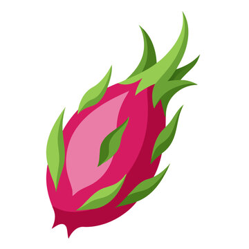 recommend clip art: dragonfruit colorful fruit. Modern abstract flat style. Natural tropical fruit. Vector illustration