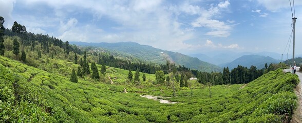 landscape in the mountains