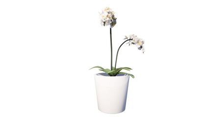 Illustration of flowers in a vase for table decoration in a room