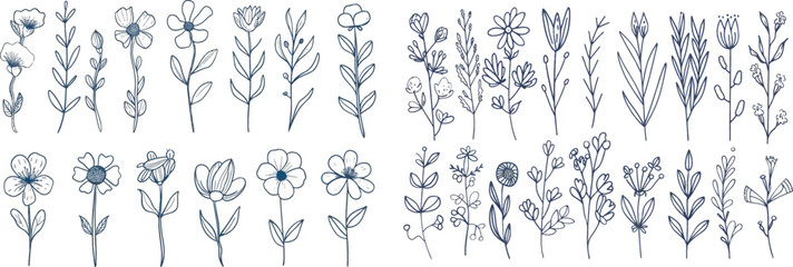 Plant doodles for greeting cards and invitations. Linear decorative forest branches with leaves and flowers. Modern isolated set of flowers.