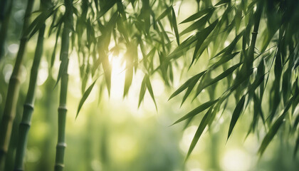 Fototapeta premium Serene image of bamboo leaves with sunlight filtering through, creating a peaceful scene 