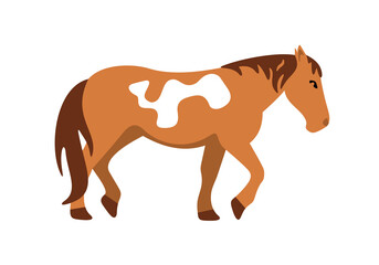Cute cartoon horse graphic design