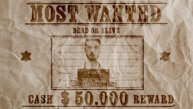 Wanted Video Poster