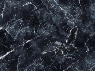 Abstract black marble texture with white veins.