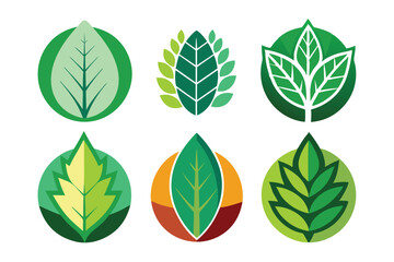 Obraz premium Adobe Illustrator Artwork