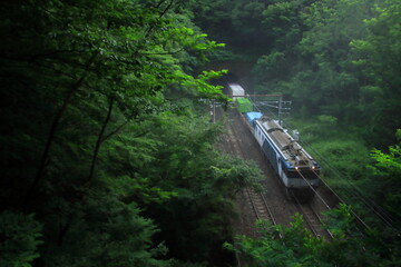 新緑が美しい初夏の中央西線を力強く走るEF64形牽引の貨物列車(81レ)_2024/7/6撮影