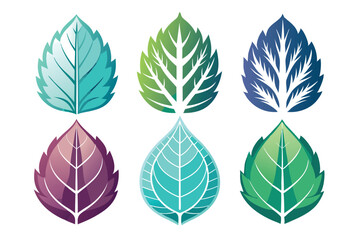 Fototapeta premium Adobe Illustrator Artwork