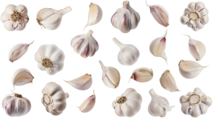 Garlic set on transparent background