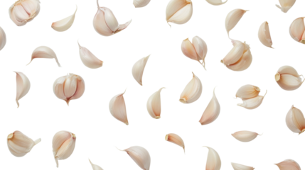 Garlic set on transparent background