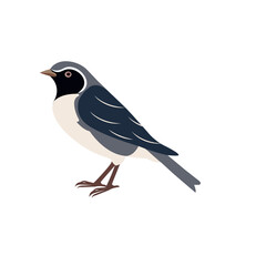 Bird minimalist vector illustration ,simple transparent graphic element .Isolated on white background