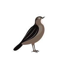 Bird minimalist vector illustration ,simple transparent graphic element .Isolated on white background