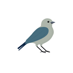 Bird minimalist vector illustration ,simple transparent graphic element .Isolated on white background