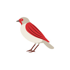 Bird minimalist vector illustration ,simple transparent graphic element .Isolated on white background