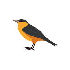 Bird minimalist vector illustration ,simple transparent graphic element .Isolated on white background