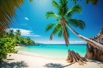 Obraz premium Idyllic tropical beach with palm trees, white sand, and turquoise water.