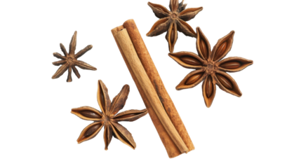 Anise star and cinnamon sticks on transparent background